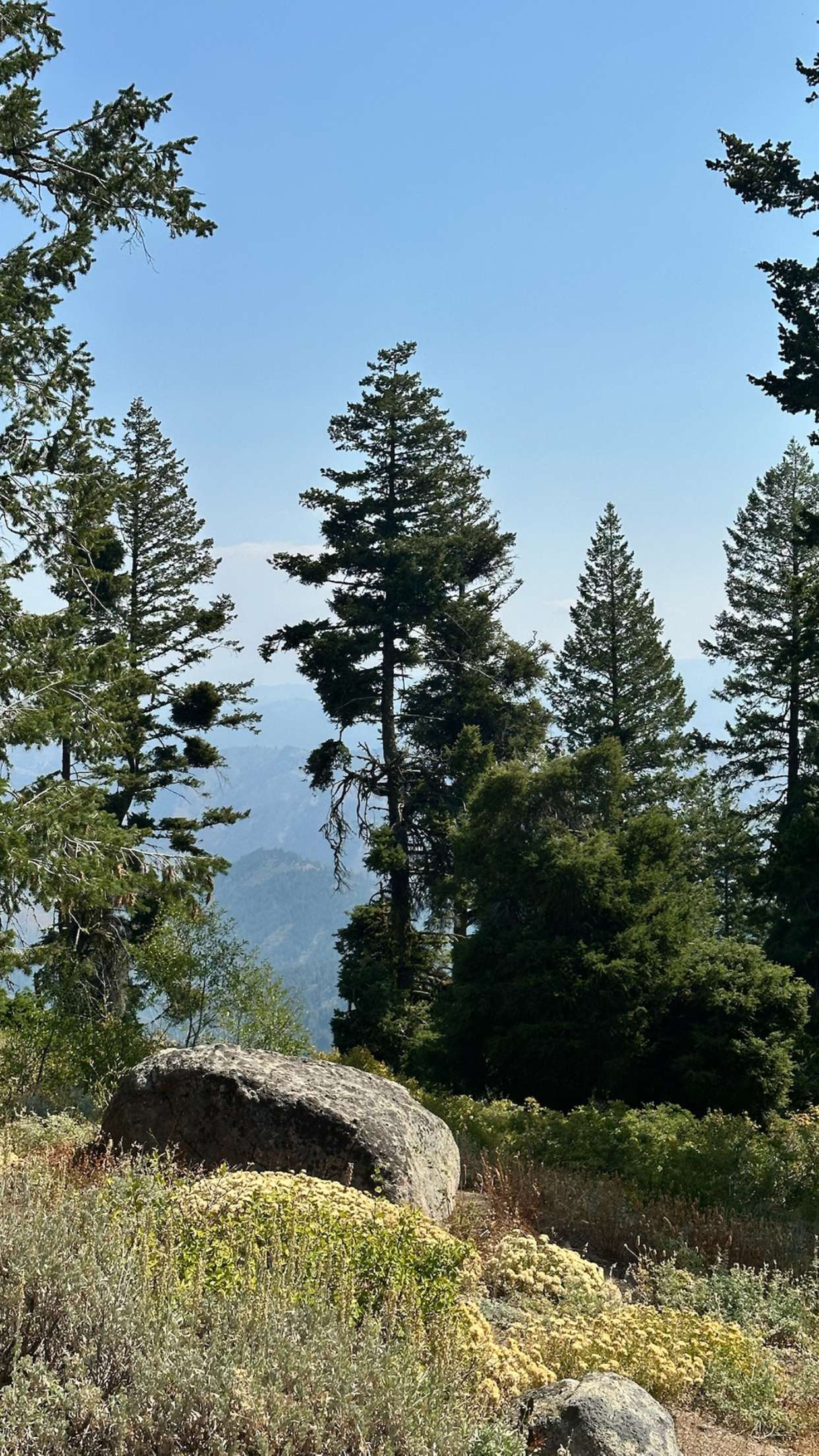 realhaylujan snapchat image archive image