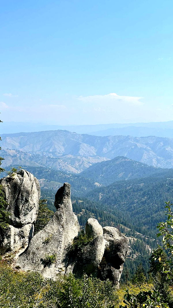 realhaylujan image ~ Altpins