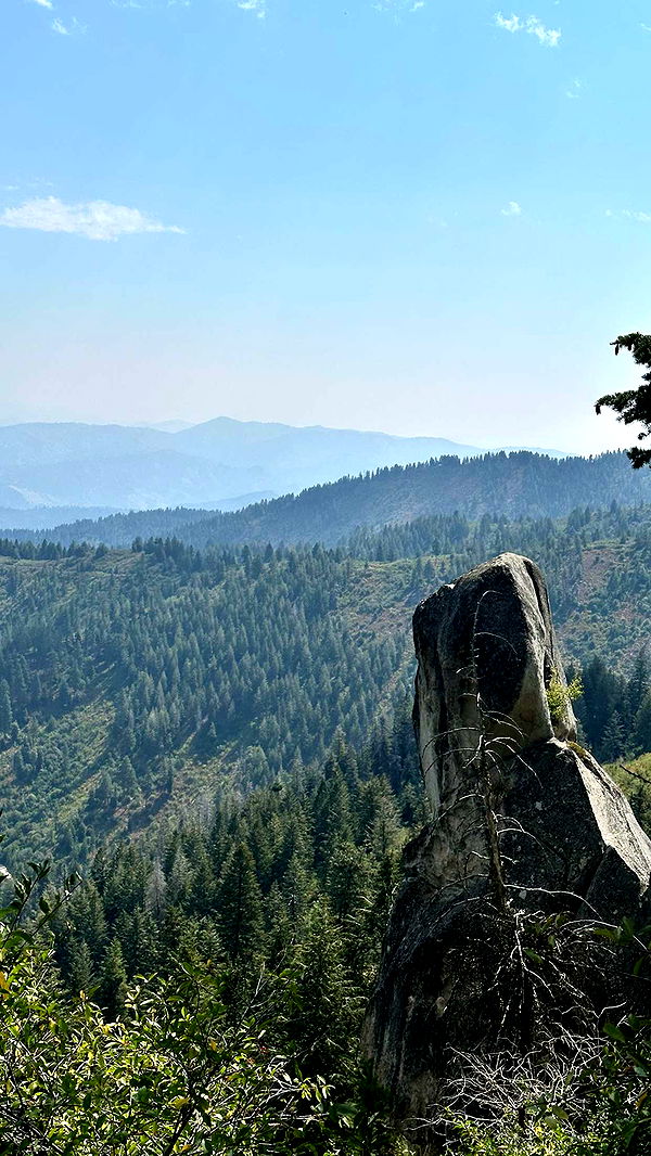 realhaylujan image ~ Altpins