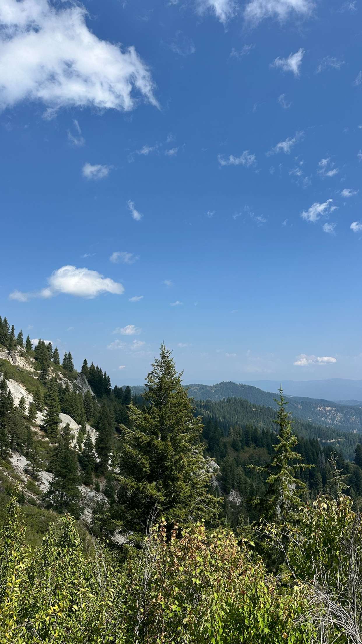 realhaylujan snapchat image archive image