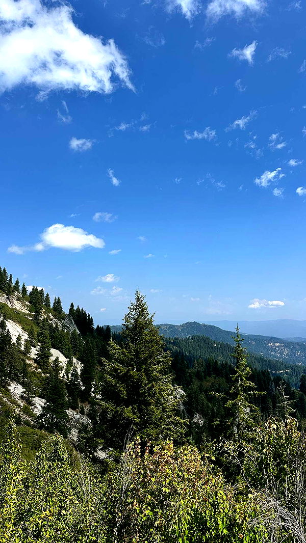 realhaylujan image ~ Altpins