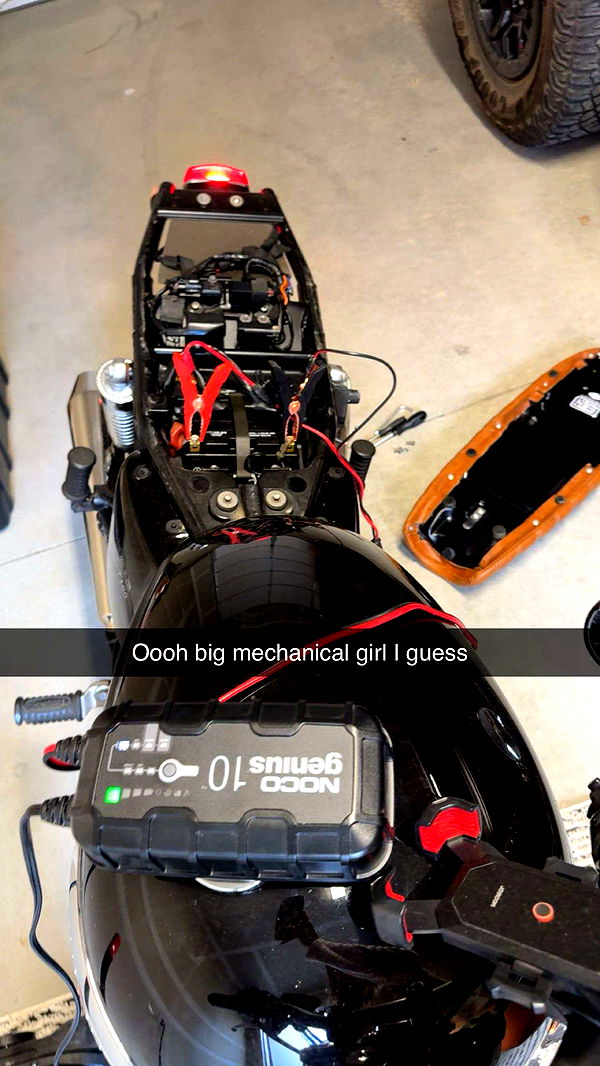 realhaylujan image ~ Altpins