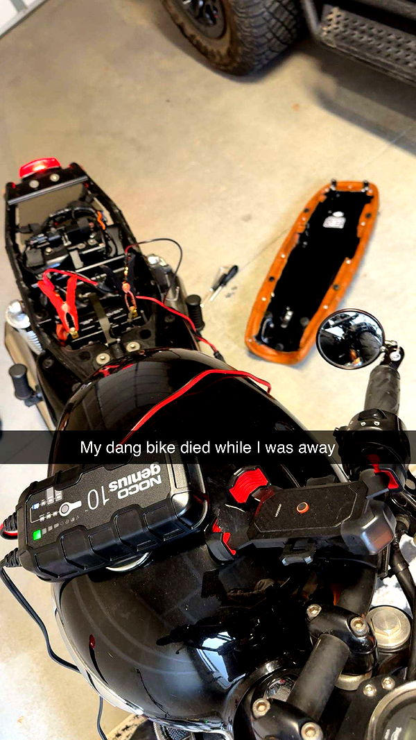 realhaylujan image ~ Altpins