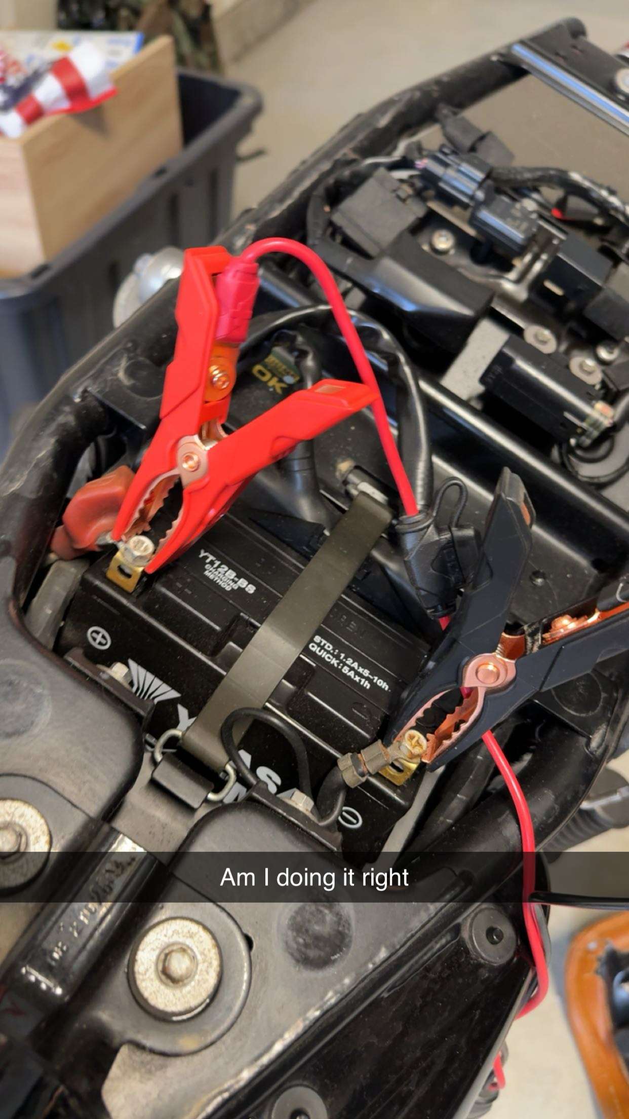 realhaylujan snapchat image archive image