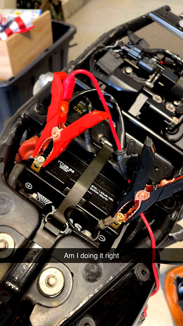 realhaylujan image ~ Altpins