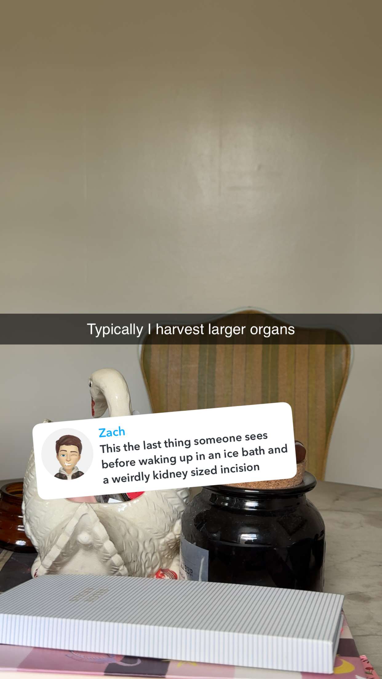 realhaylujan snapchat image archive image