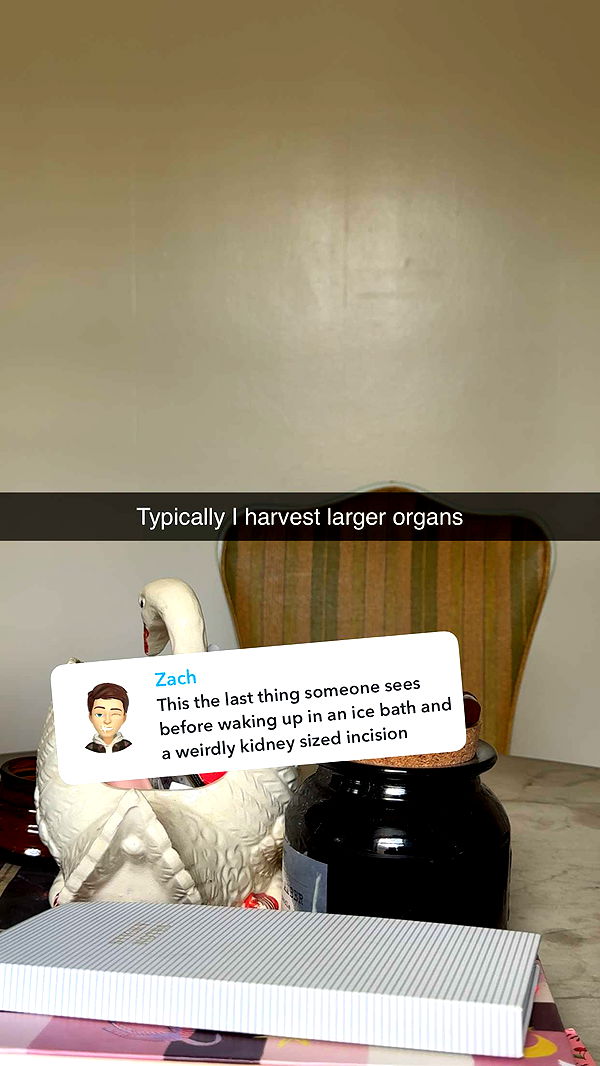 realhaylujan image ~ Altpins