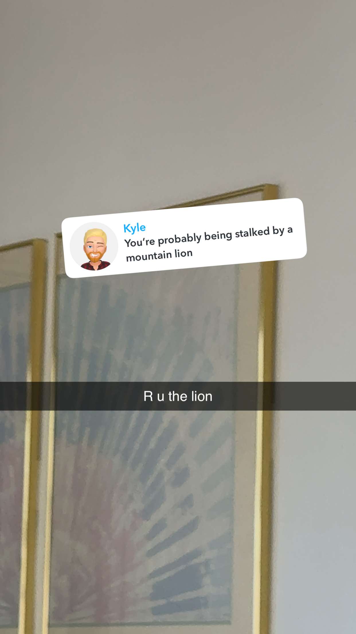 realhaylujan snapchat image archive image