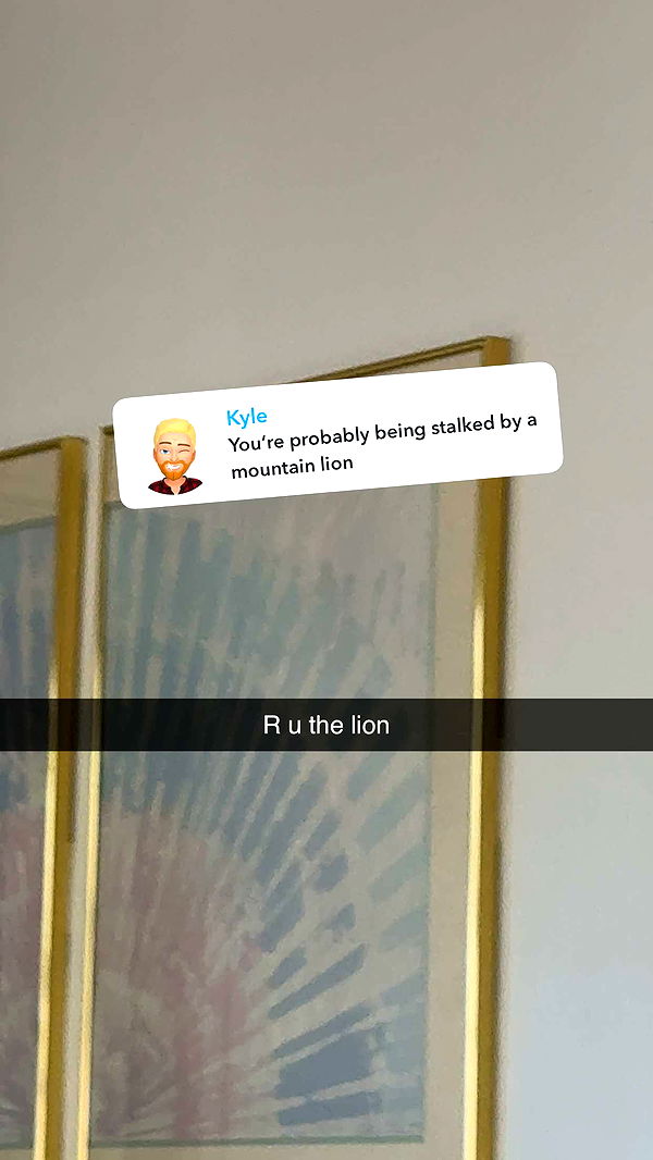 realhaylujan image ~ Altpins