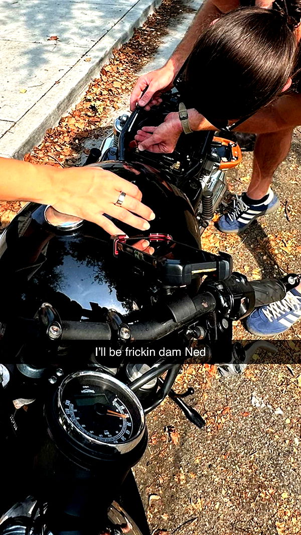 realhaylujan image ~ Altpins