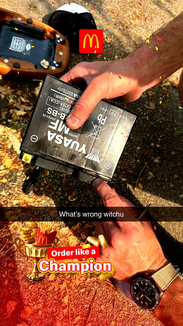 realhaylujan image ~ Altpins