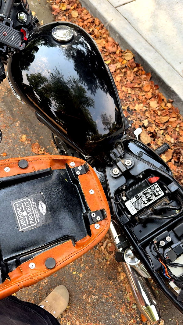 realhaylujan image ~ Altpins