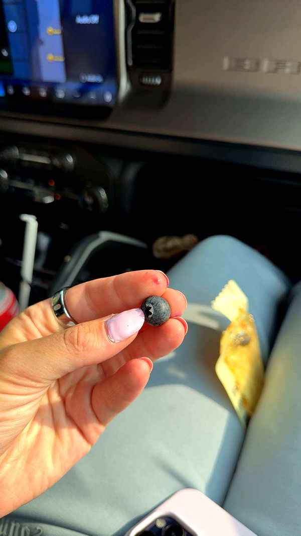 realhaylujan image ~ Altpins