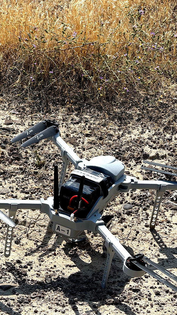 realhaylujan image ~ Altpins