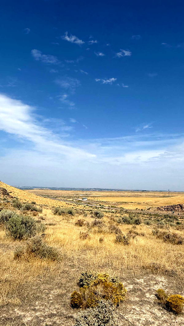 realhaylujan image ~ Altpins