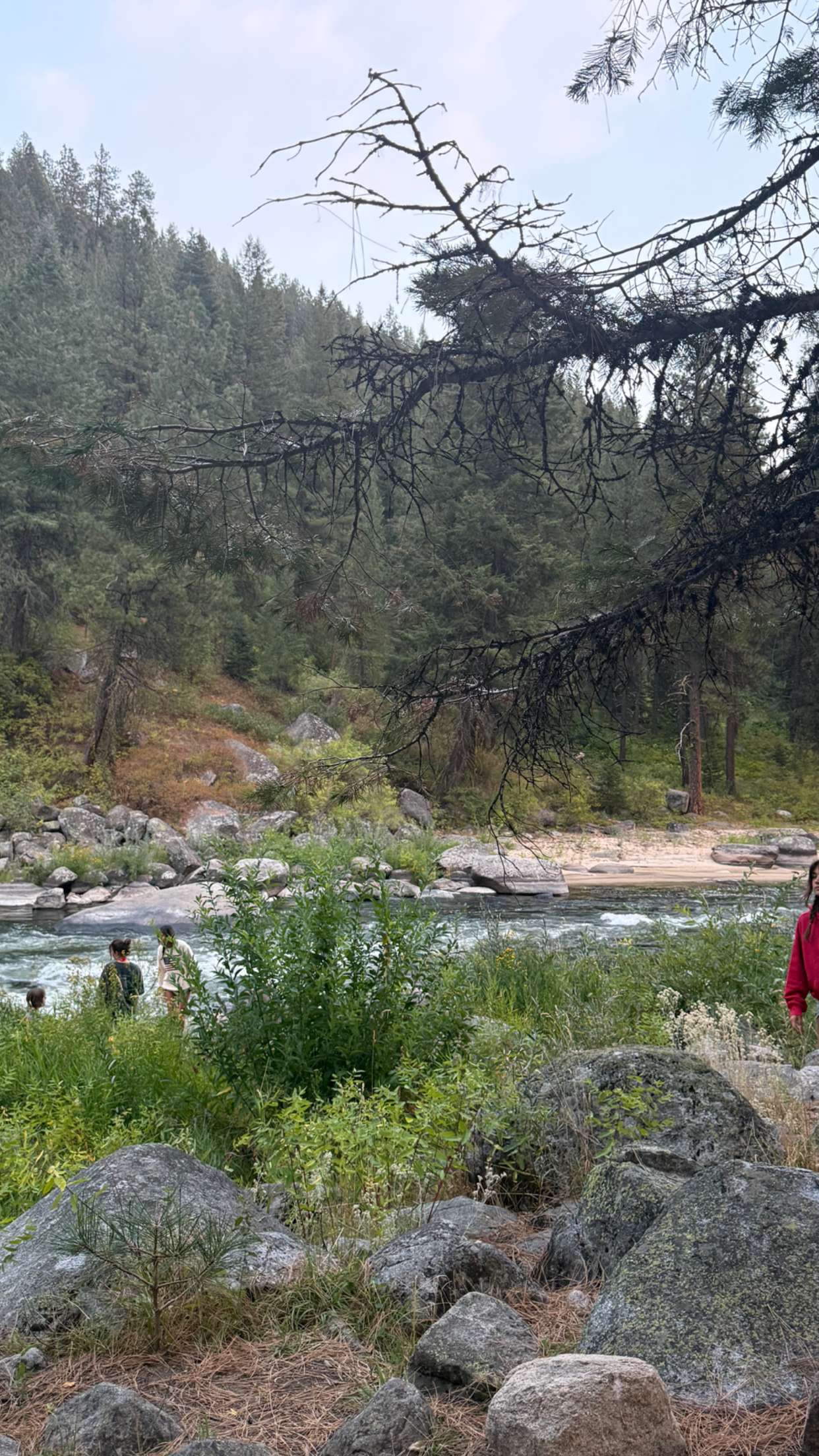 realhaylujan snapchat image archive image