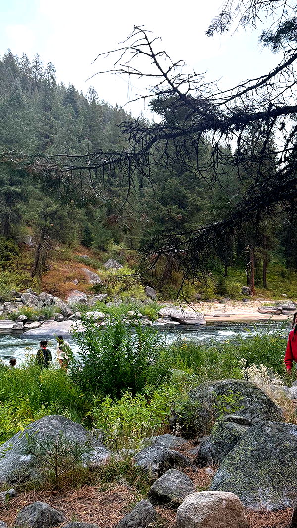 realhaylujan image ~ Altpins