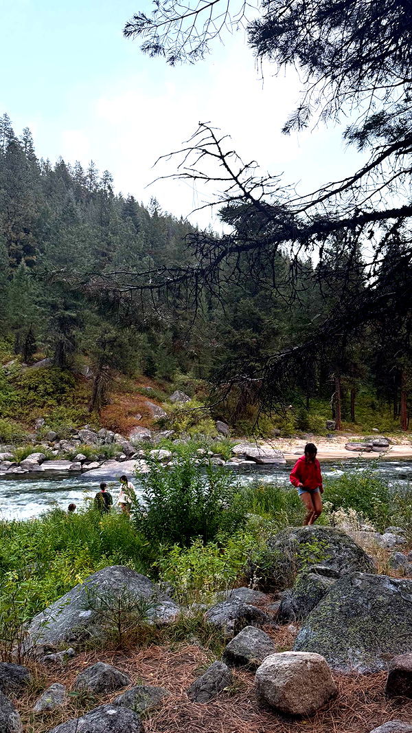 realhaylujan image ~ Altpins