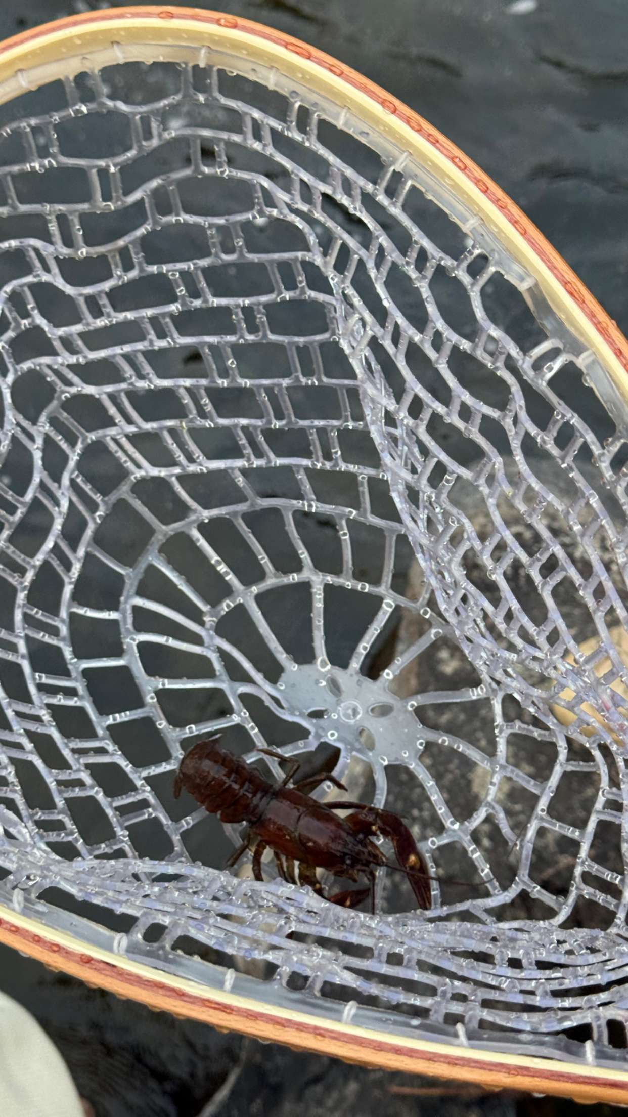 realhaylujan snapchat image archive image