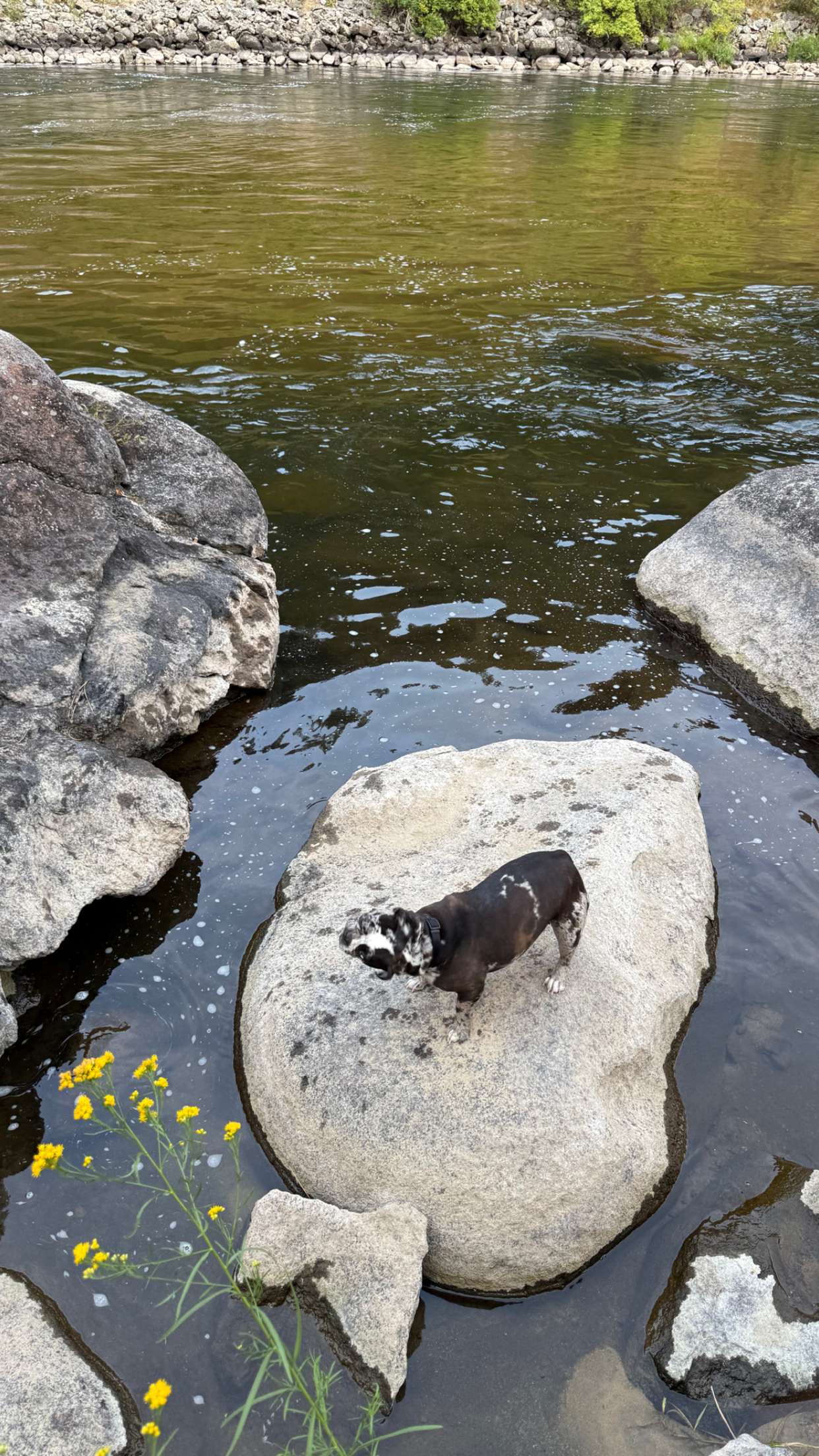 realhaylujan snapchat image archive image