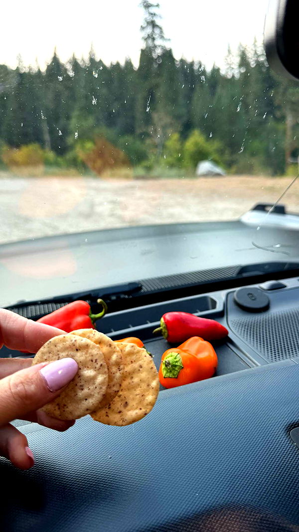 realhaylujan image ~ Altpins