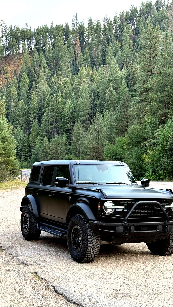 realhaylujan image ~ Altpins