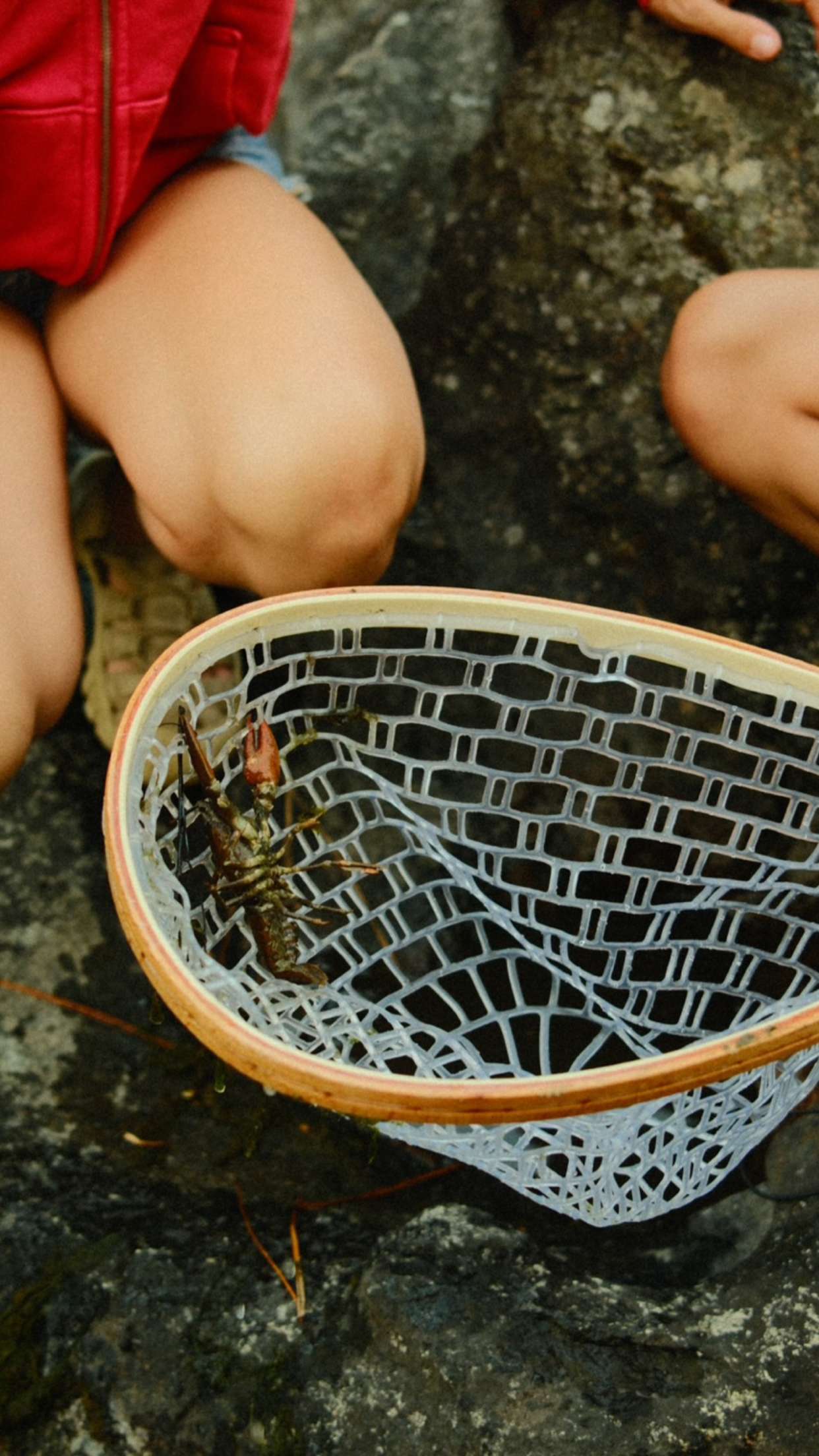 realhaylujan snapchat image archive image