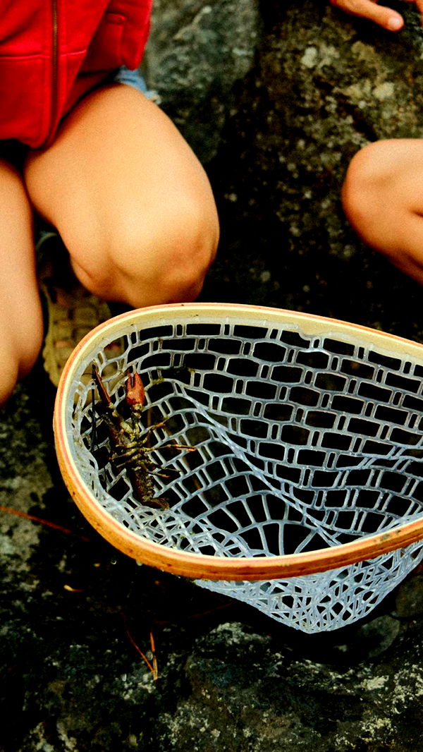 realhaylujan image ~ Altpins