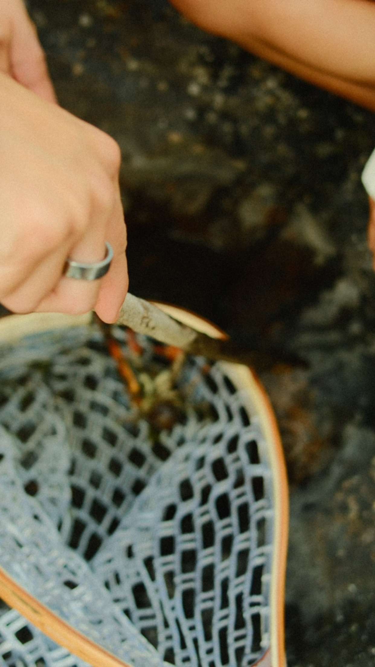 realhaylujan snapchat image archive image