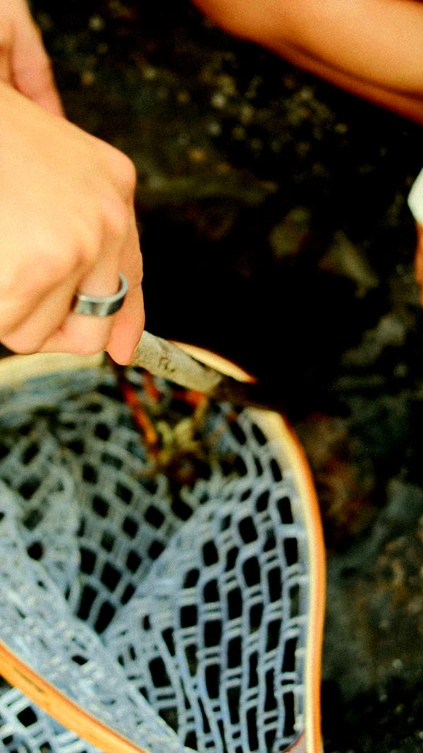 realhaylujan image ~ Altpins