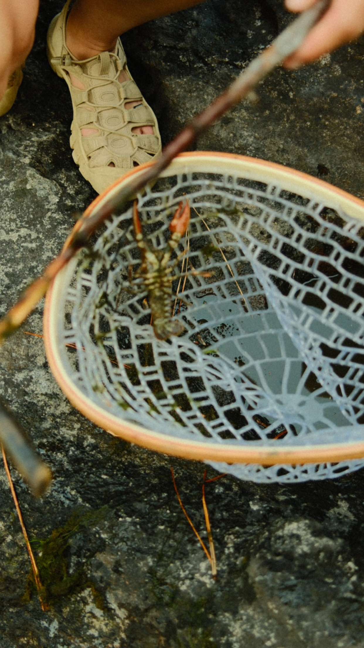 realhaylujan snapchat image archive image