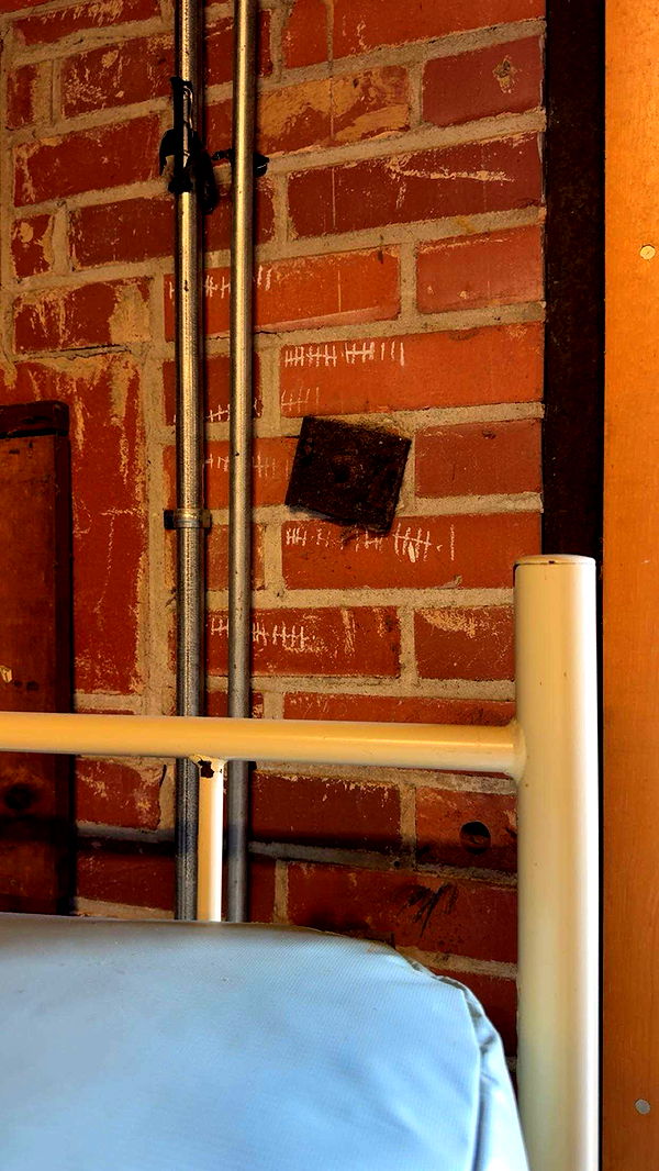 realhaylujan image ~ Altpins