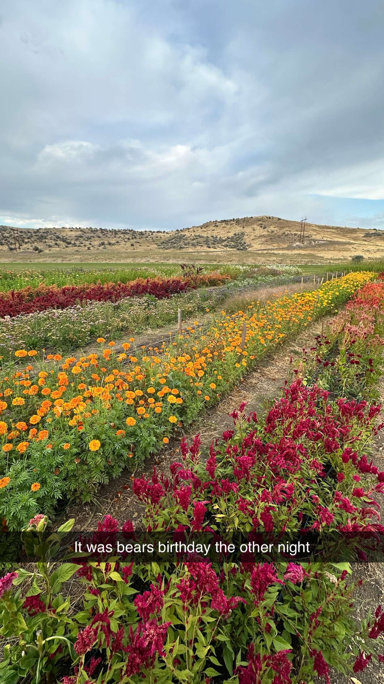 realhaylujan snapchat image archive image