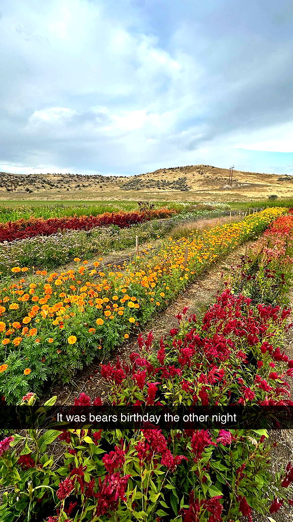 realhaylujan image ~ Altpins