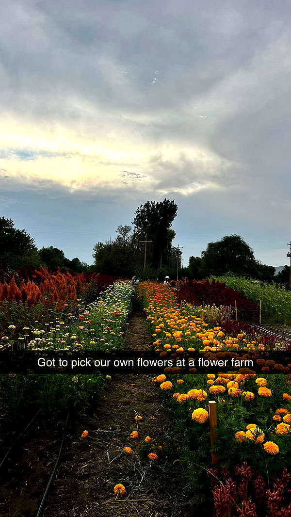 realhaylujan image ~ Altpins