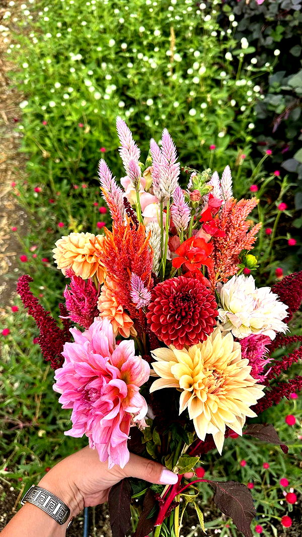 realhaylujan image ~ Altpins