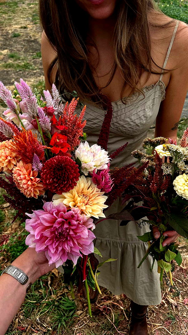 realhaylujan image ~ Altpins