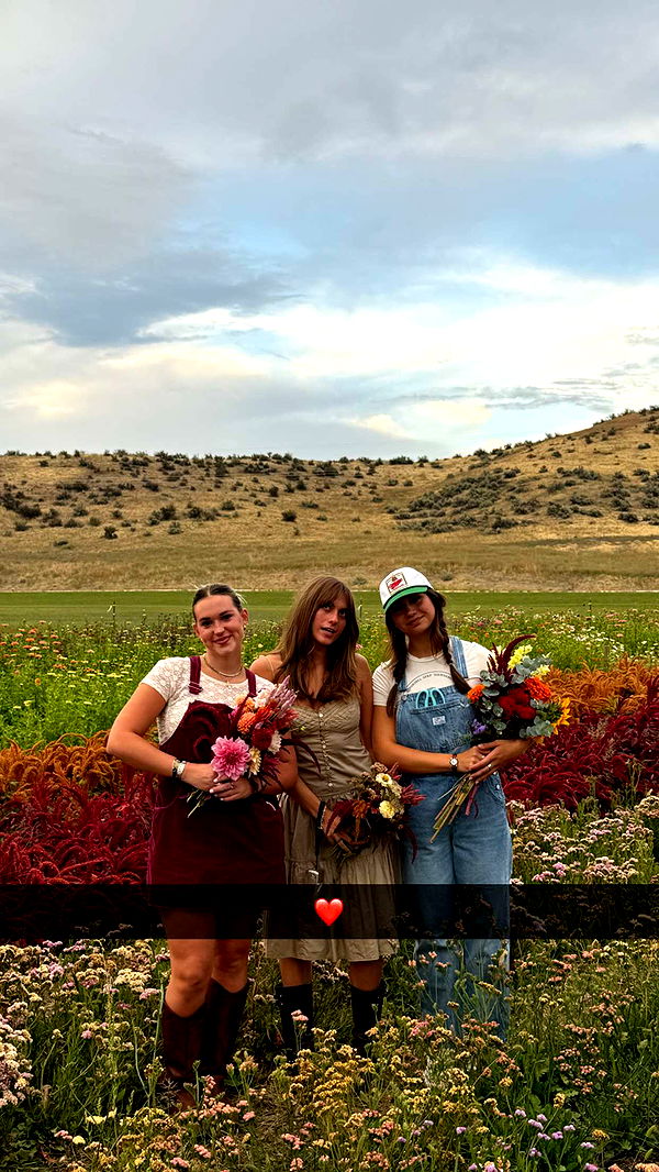 realhaylujan image ~ Altpins