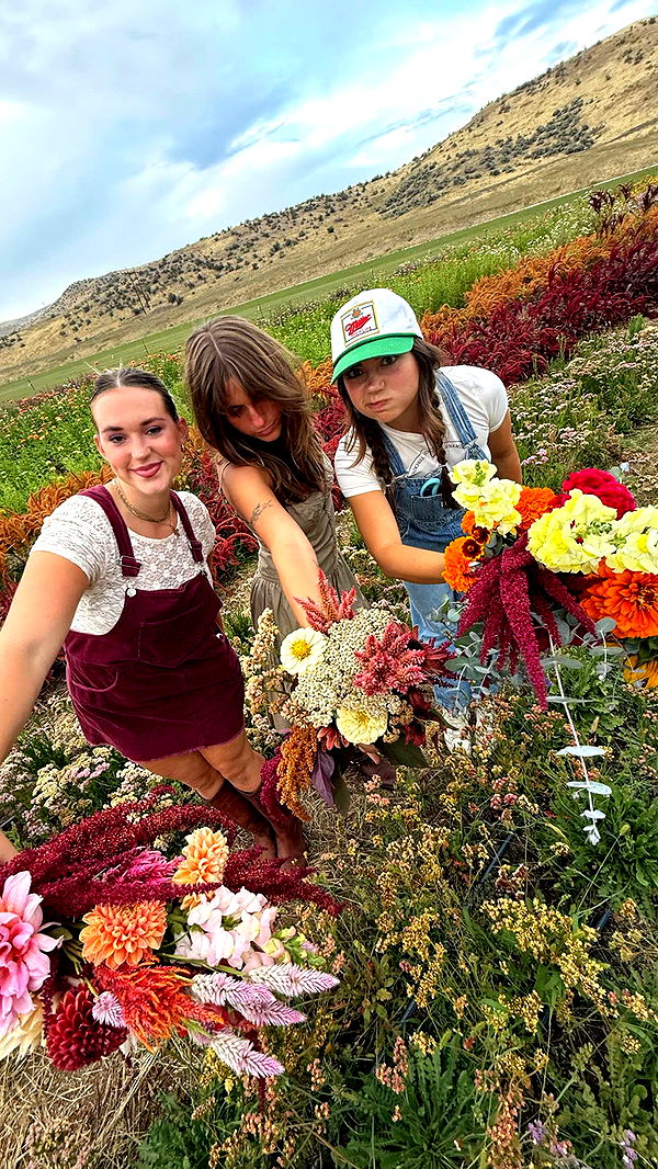 realhaylujan image ~ Altpins