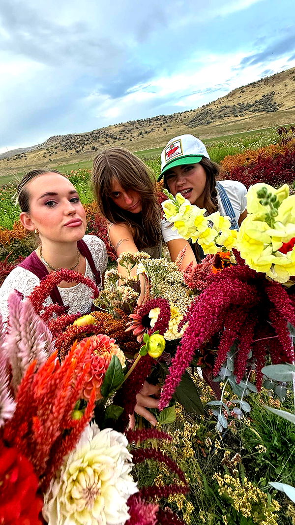 realhaylujan image ~ Altpins