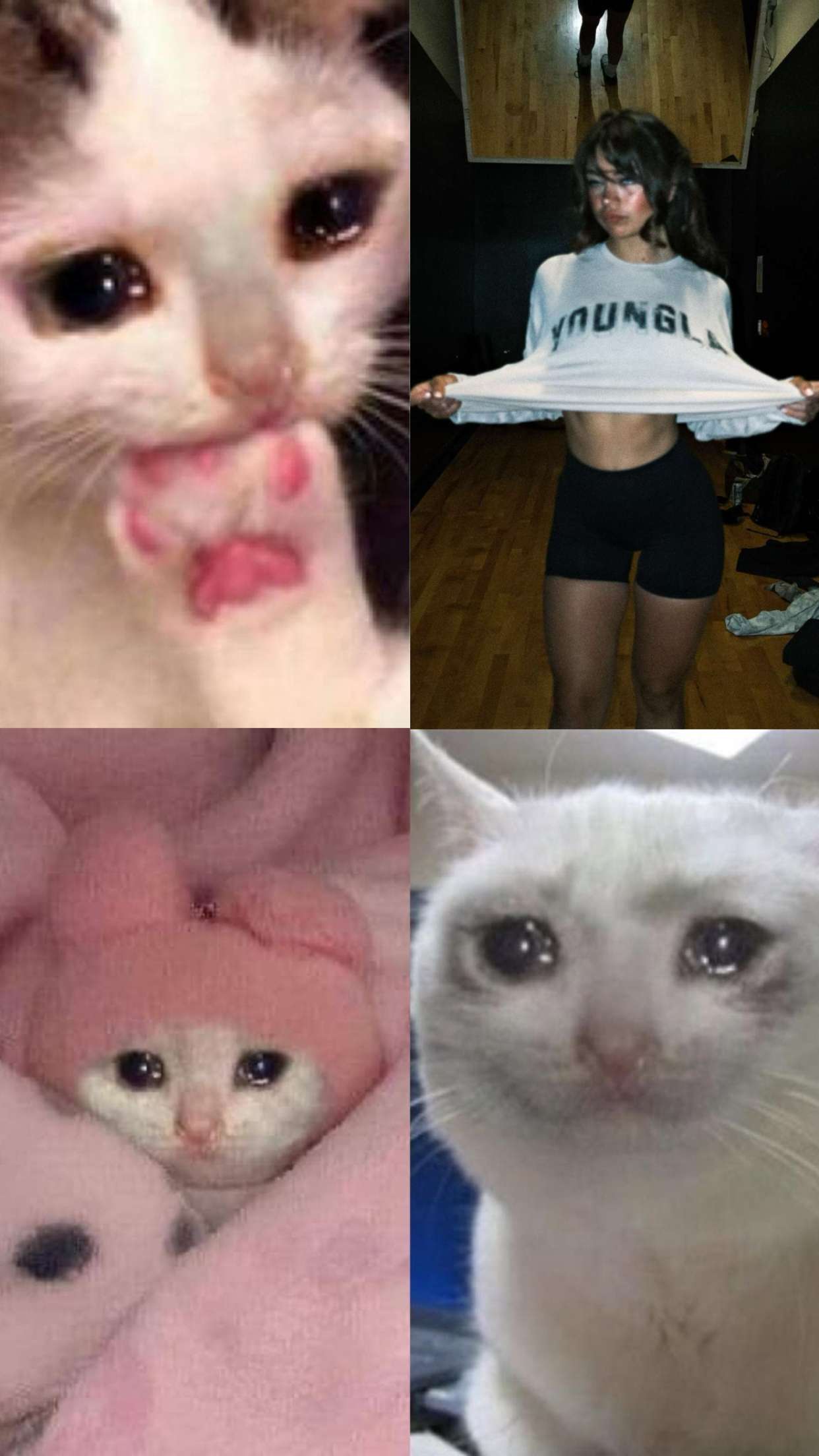 realhaylujan snapchat image archive image