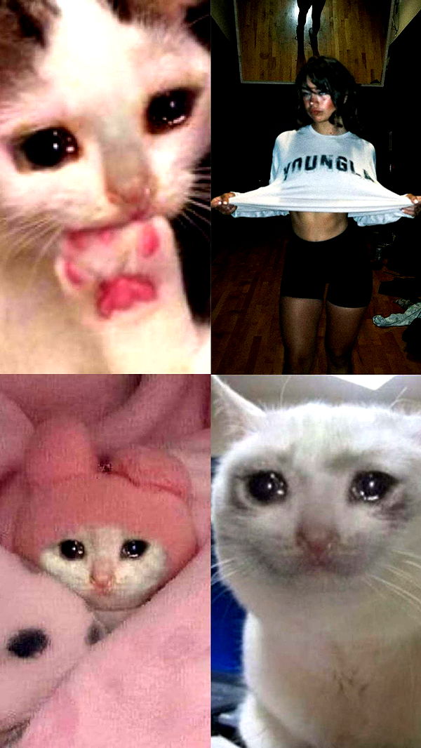 realhaylujan image ~ Altpins