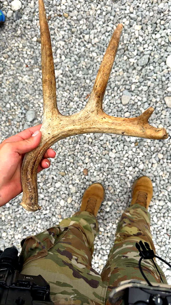 realhaylujan image ~ Altpins