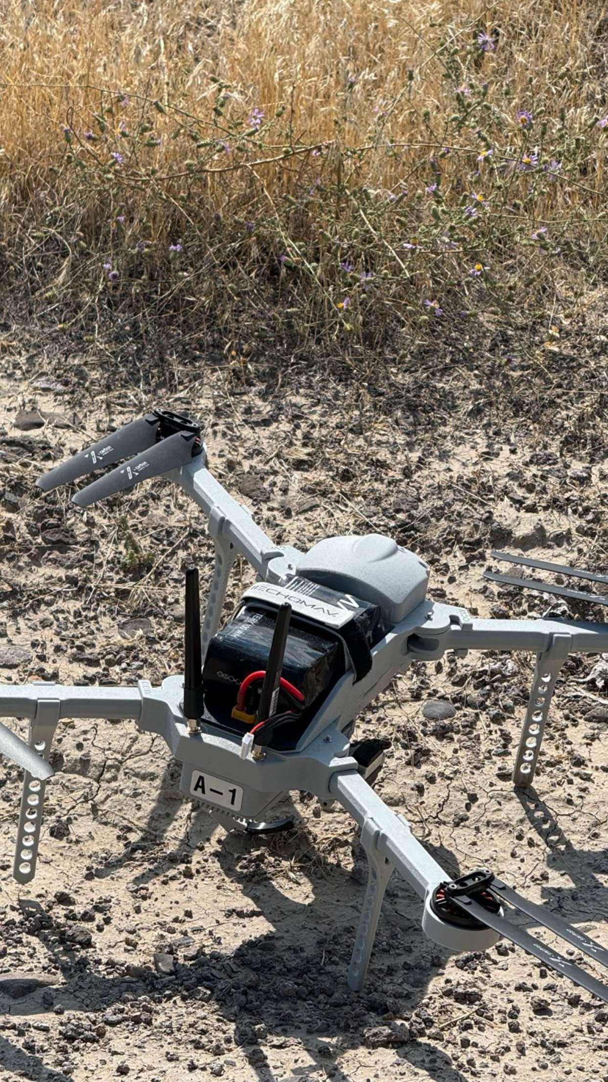 realhaylujan snapchat image archive image