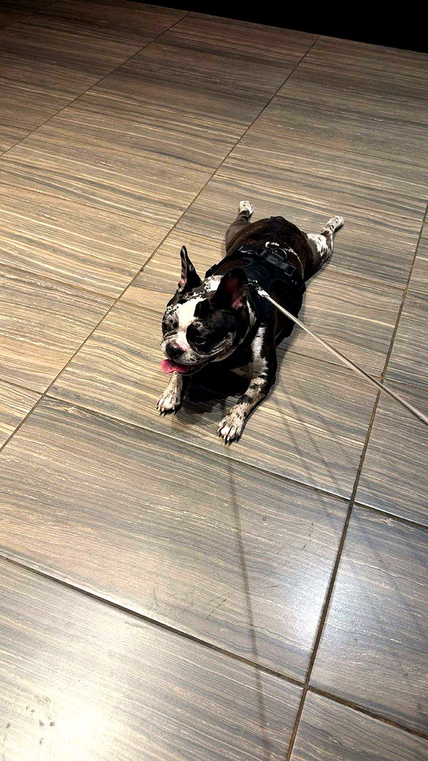 realhaylujan image ~ Altpins