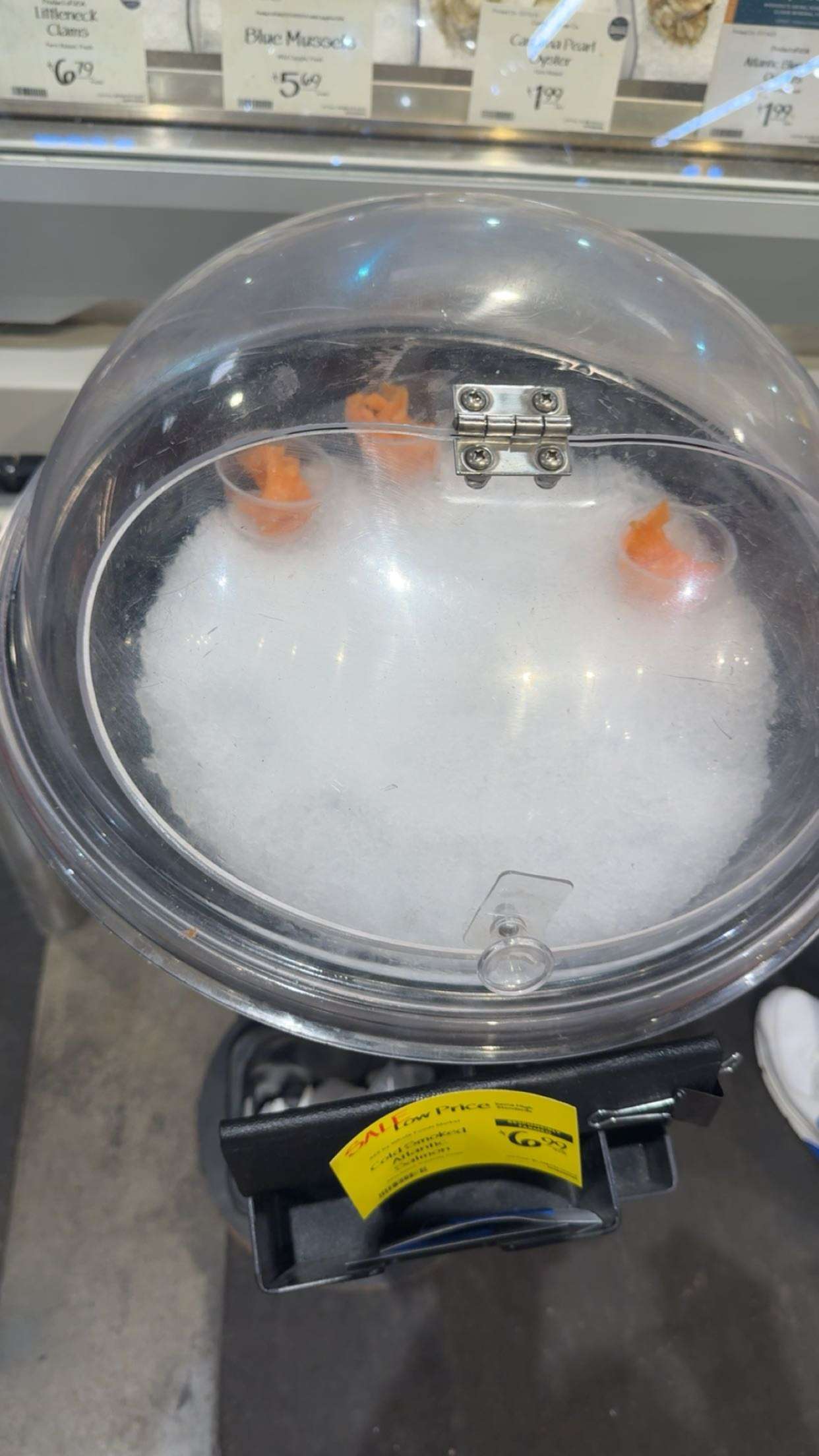 realhaylujan snapchat image archive image