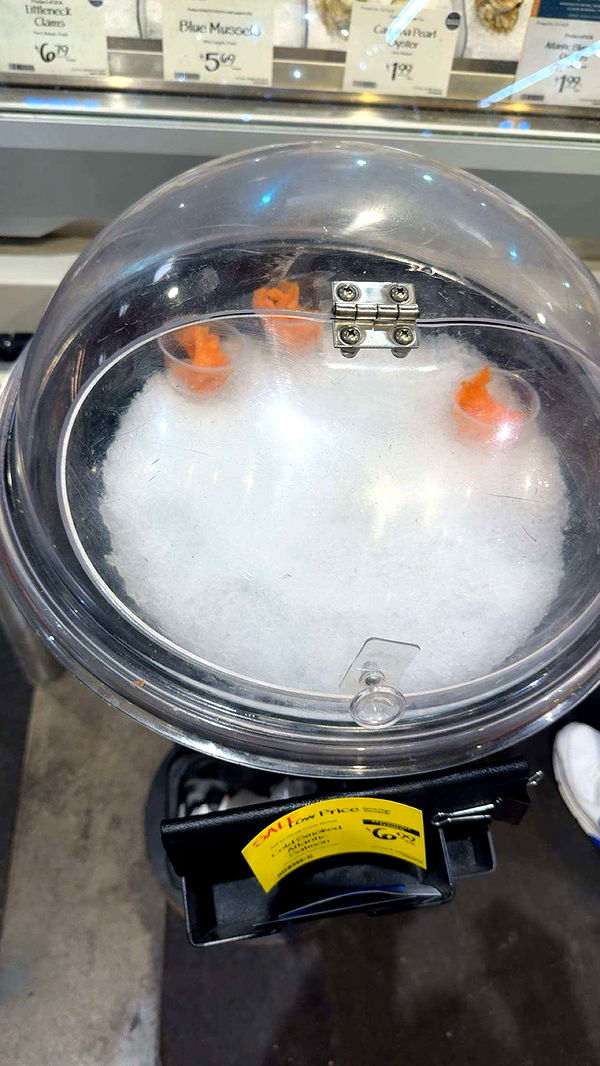 realhaylujan image ~ Altpins