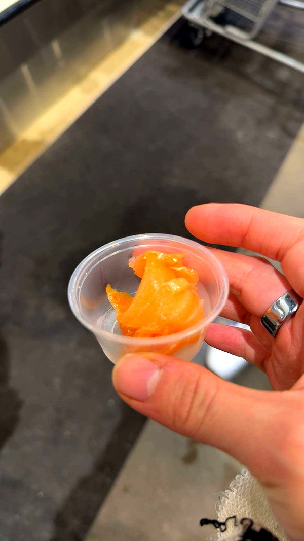 realhaylujan image ~ Altpins