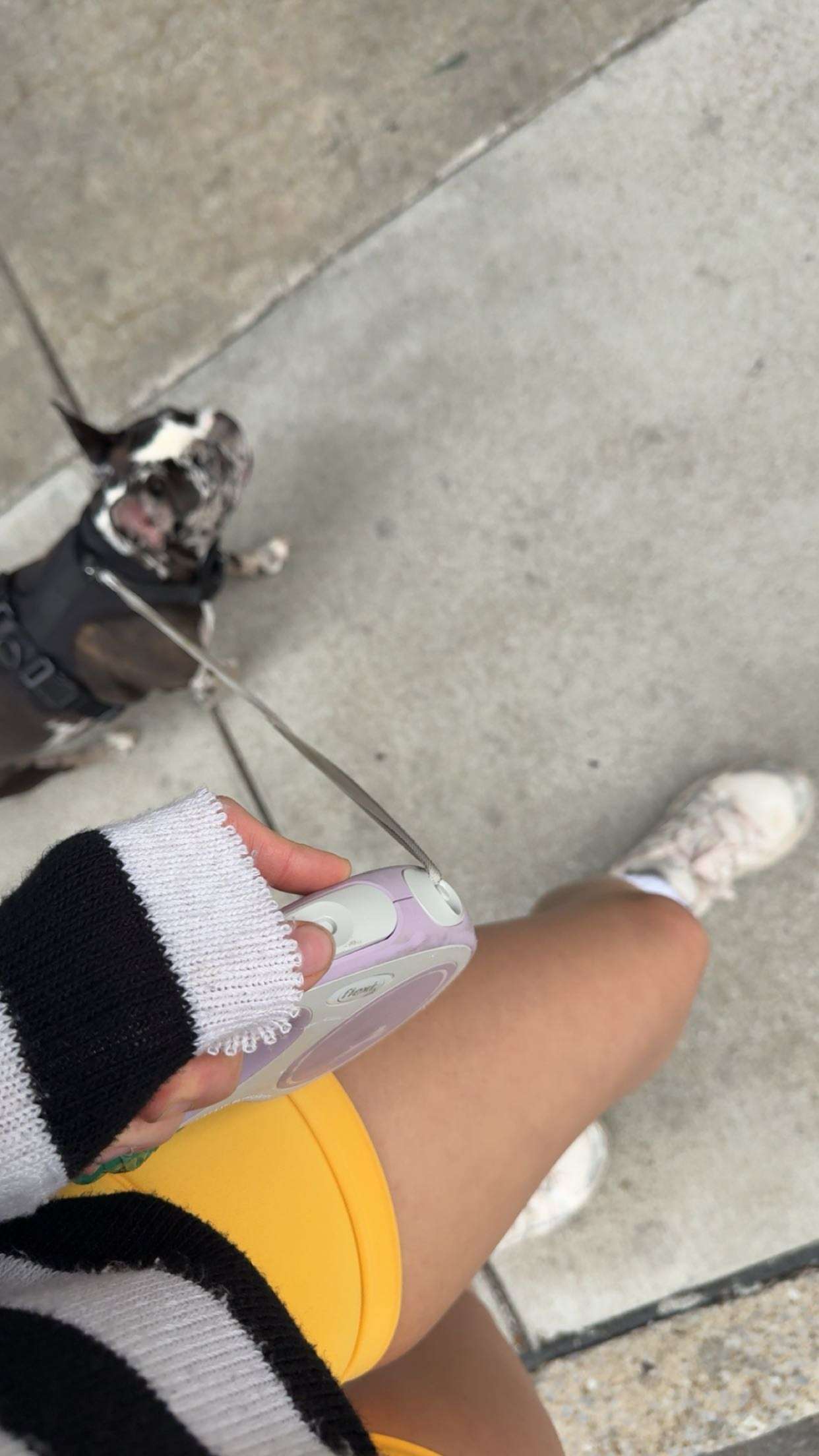 realhaylujan snapchat image archive image