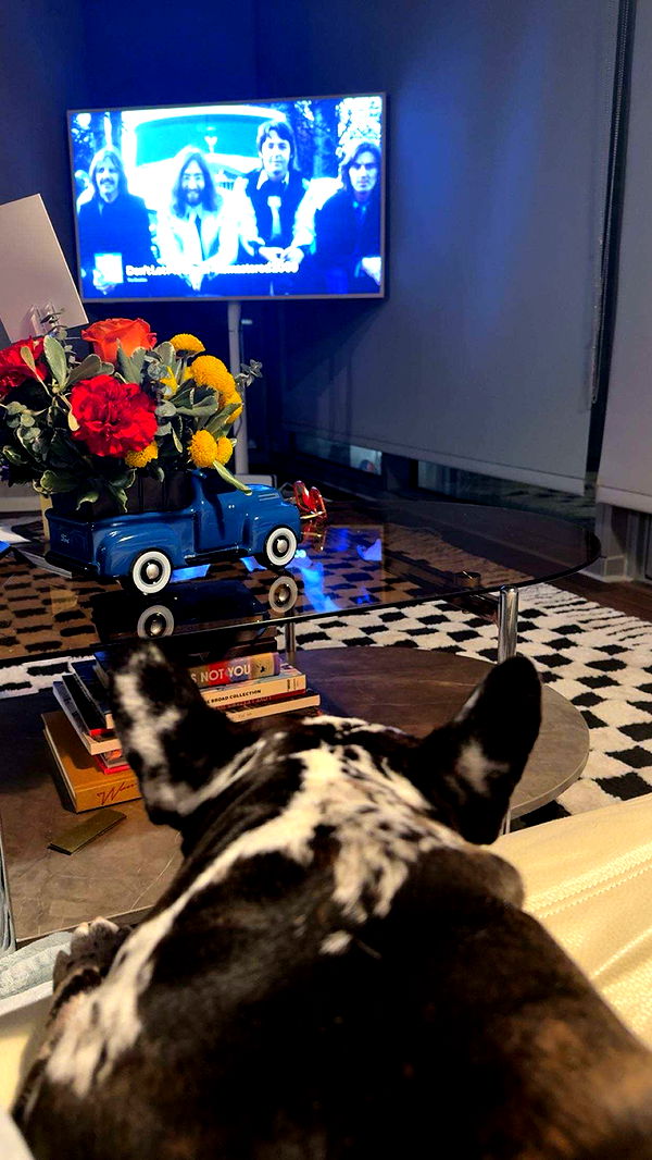 realhaylujan image ~ Altpins